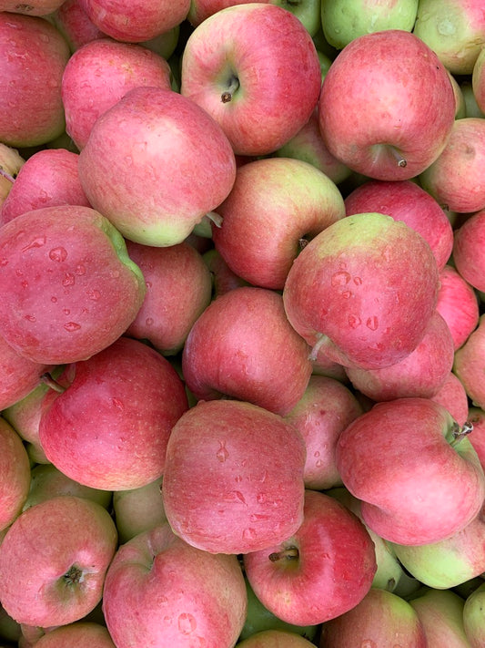 Ambrosia Apples 10 lbs