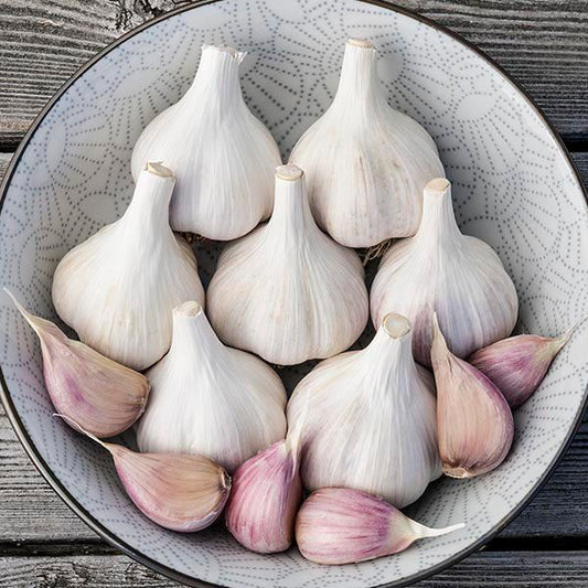 Garlic 1 lb