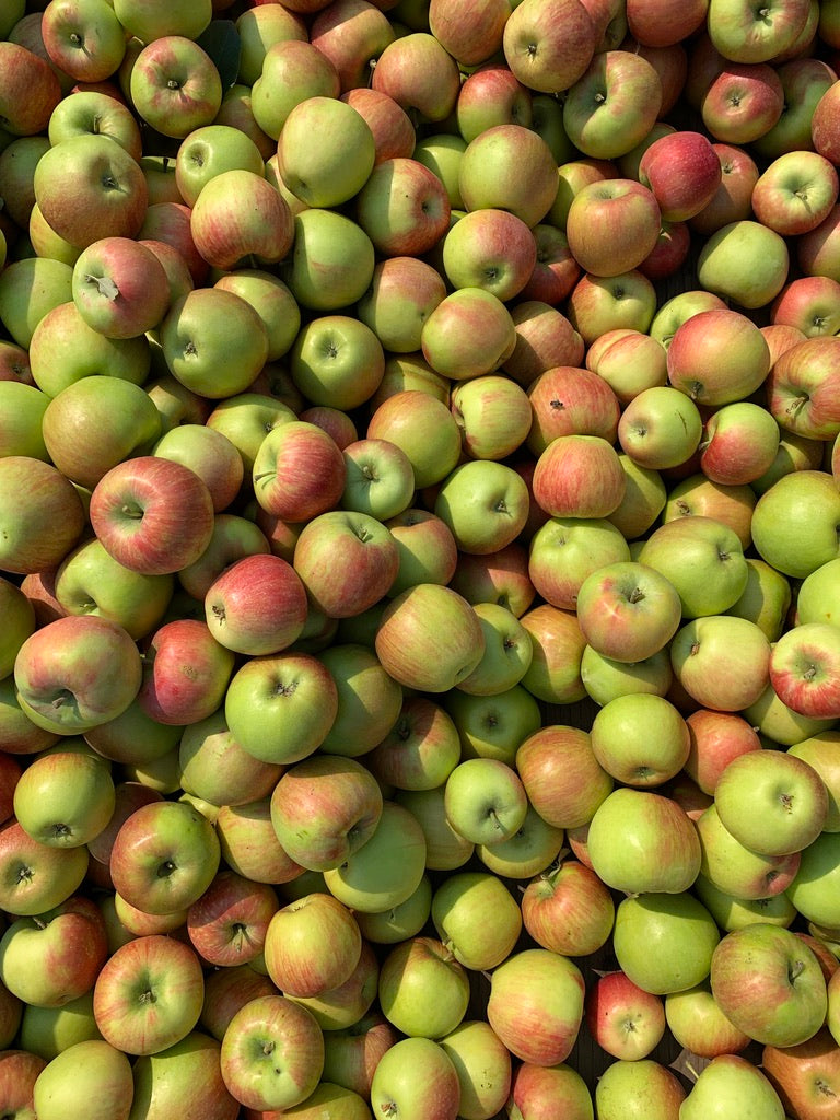 Organic Honey Crisp Apples 20 lbs