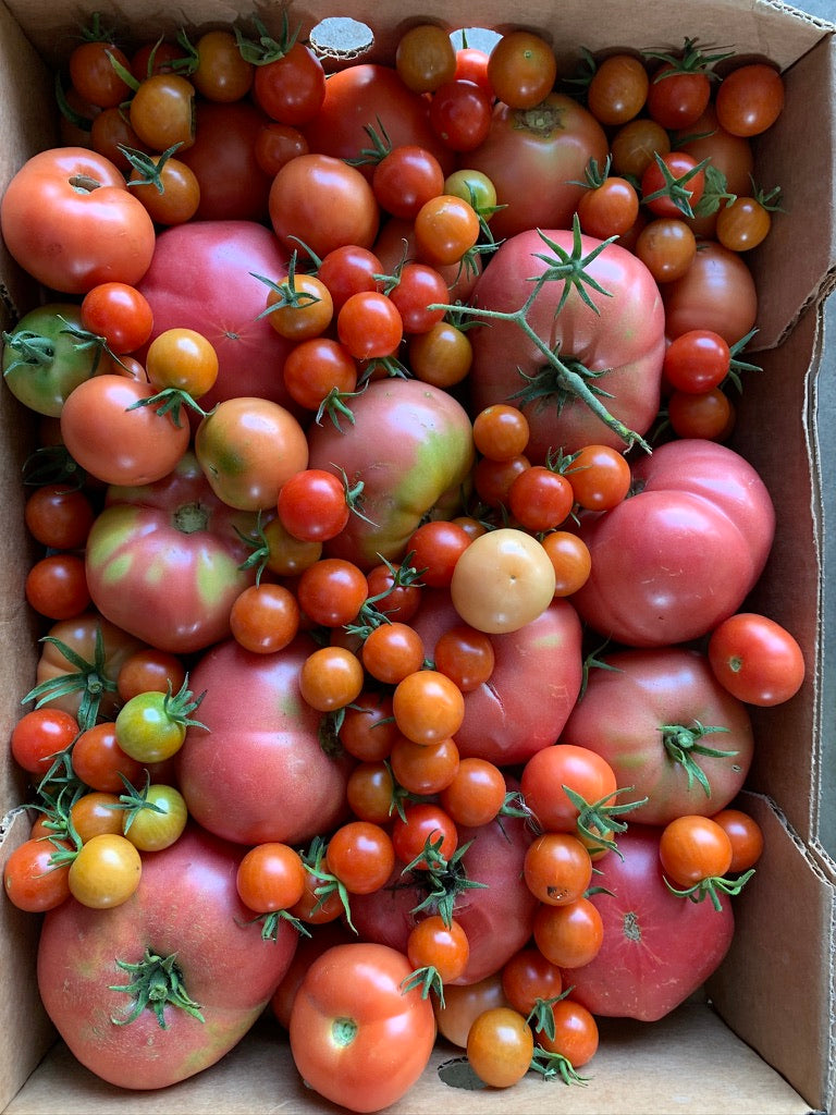 Tomatoes 2 lbs