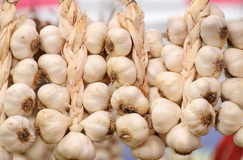 Braided Garlic 10 bulbs