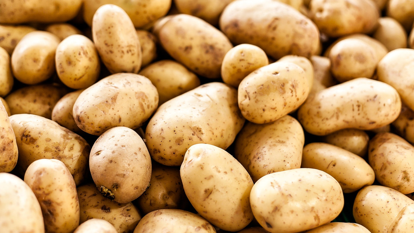 Potatoes 10 lbs