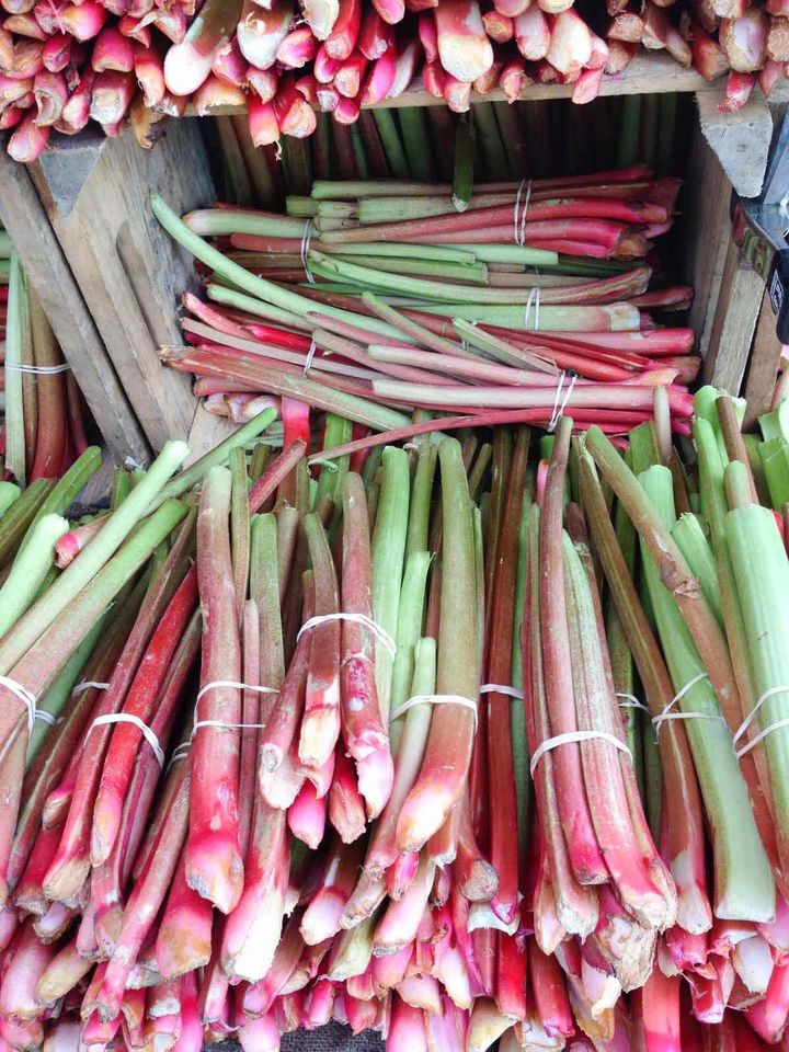 Organic Rhubarb 5 lbs