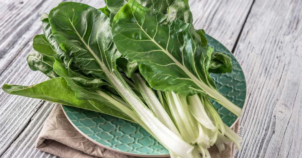 White Swiss Chard 1 bunch